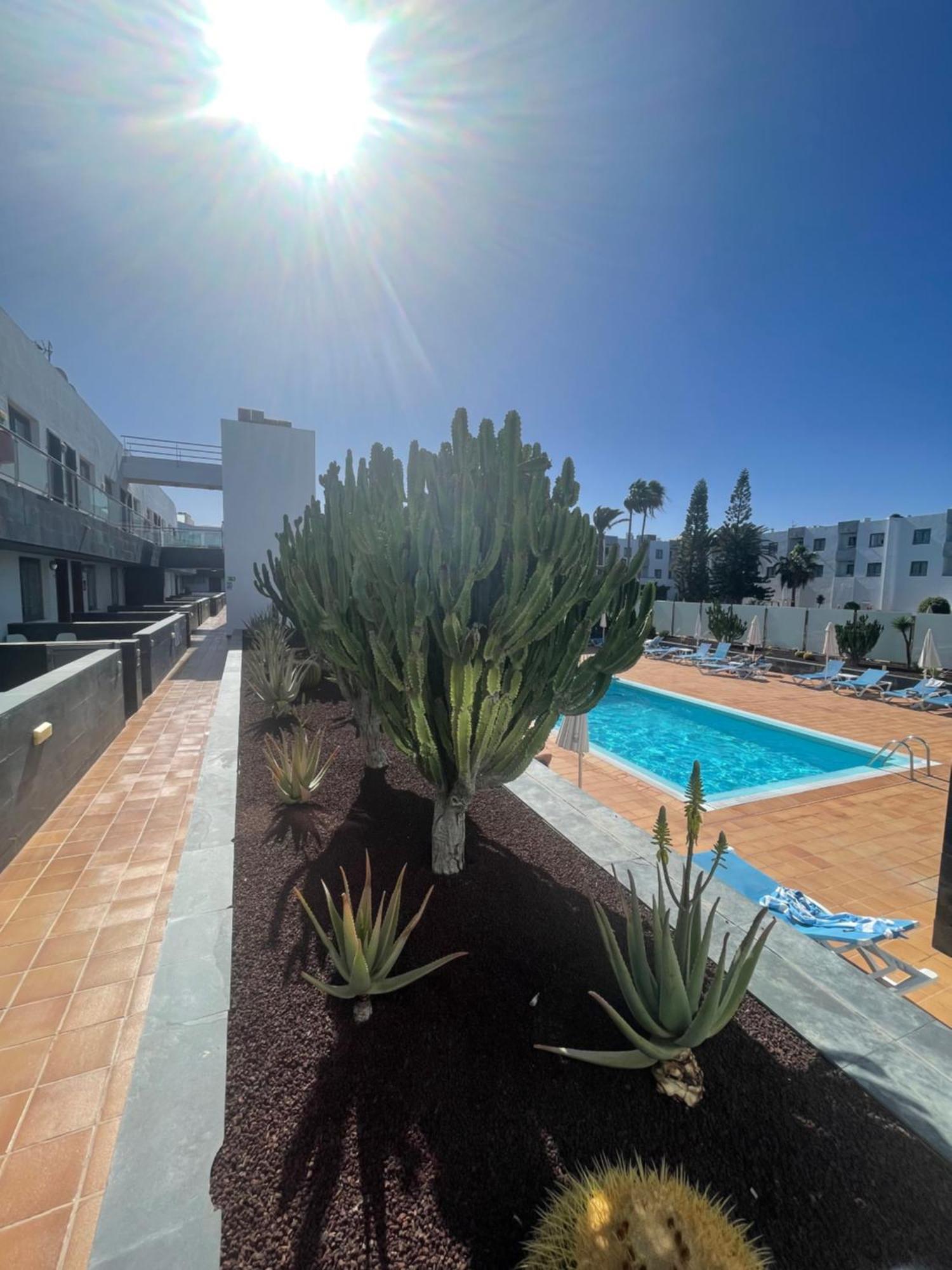 Sunrise Corralejo Appartement Buitenkant foto